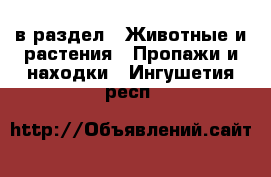  в раздел : Животные и растения » Пропажи и находки . Ингушетия респ.